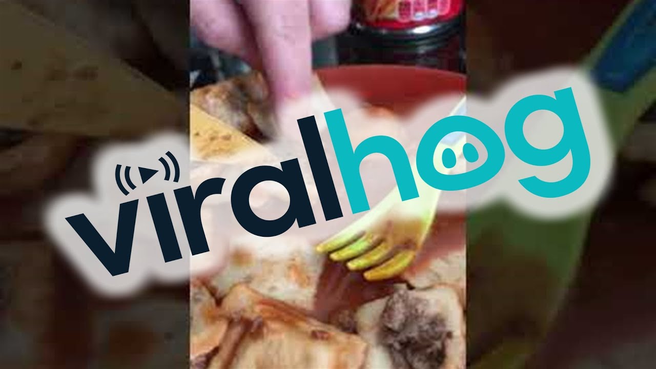 Woman Finds Bugs in Canned Ravioli || ViralHog - YouTube