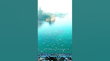 سورة المائدة و..كا.نك تسمعها لأ.و.ل مر.ة 🧡.🌸.🌼.💞.💛بصوت الشيخ حمزة مد.بو.ح 💓💝.💕.💗.🌹