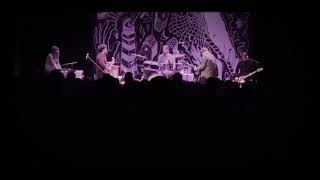 Miasmal Smoke and the Yellow Bellied Freaks