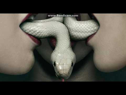 Video: 10 Yleistä Käärmemyyttiä