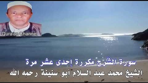 سورة الشّرح  محمد أبو سنينة برواية قالون