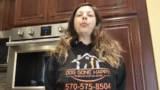Christina's experience - Dog Matters Pro Masterclass Business Program For Dog Trainers - Review by Dog Matters 319 views 4 years ago 4 minutes, 17 seconds