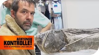 Unglaublich! Zoll findet Fisch im Koffer - Ist das legal? | Achtung Kontrolle | kabel eins