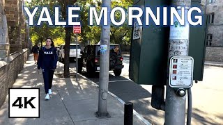 Yale University · Morning Campus Walk · 4K