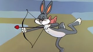 Looney Tunes Dvd Special Adver