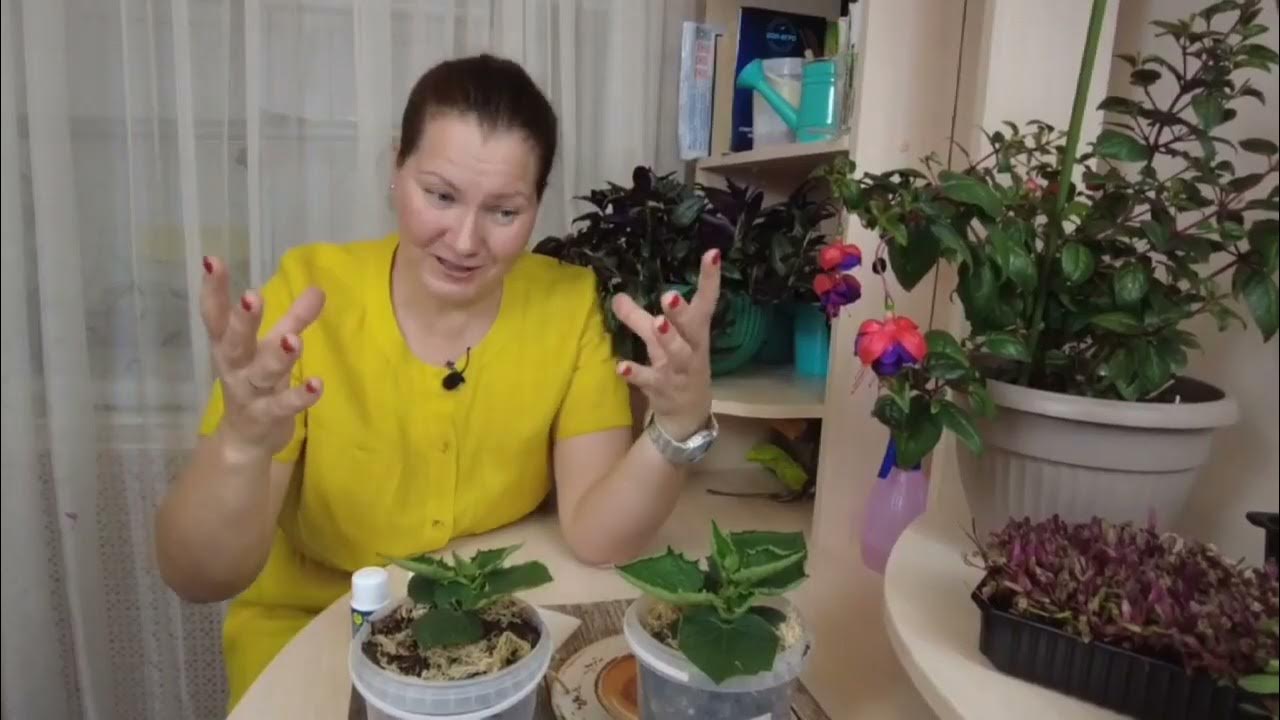 Экби 1 Экби 3 - YouTube