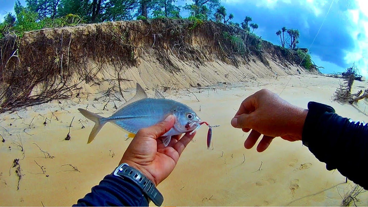 ตกปลากระมงไซส์งามกับเหยื่อ micro jig 7 g