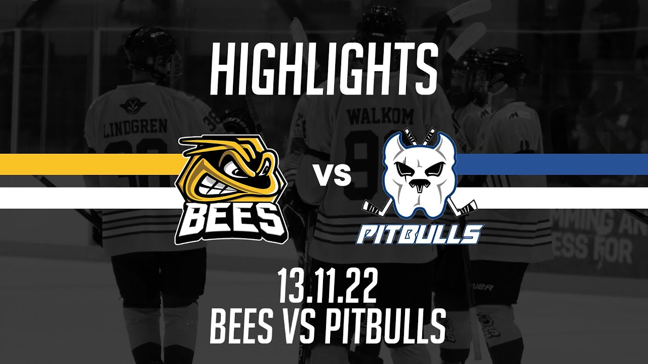 TSI World Bees vs Bristol Pitbulls 13.11.2022