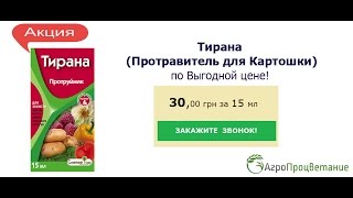 Купить Тирана. Протравитель для Картошки. №1 в Украине!(Купить Тирана. Протравитель для Картошки. №1 в Украине! https://agrozahyst.com.ua/tirana-protravitel-dlya-kartoshki Решив Купить Протр..., 2016-05-17T12:11:59.000Z)