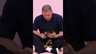 No Wonder Channing Tatum Is Dating Inka Williams. Three Details Prove That He Regards Her As A