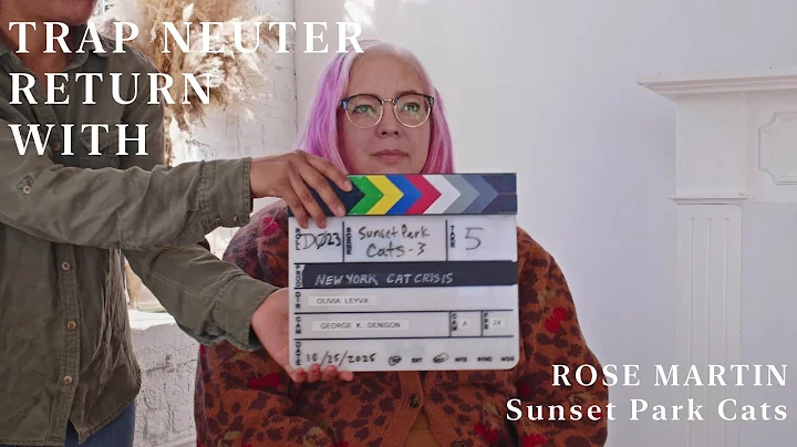 Trap Neuter Return with Sunset Park Cats