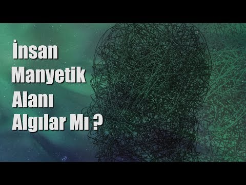 Video: Ergenlikte ezoterik bağlar ve cinsel implantlar