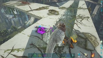 PVP Clips Counter Raid ARK Official PVP PS4