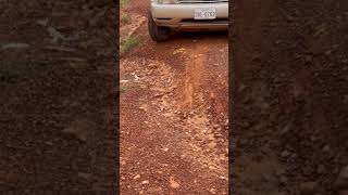 Off Road 4WD RX300