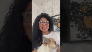 DIGA NAO A VIOLENCIA DOMESTICA