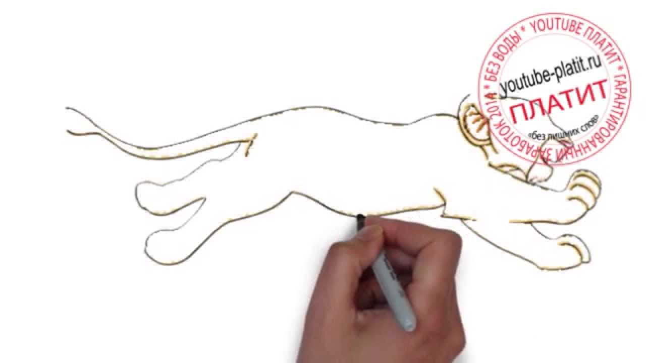 Как нарисовать короля из мультфильмов Как нарисовать короля из мультфильмов