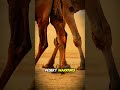 How Camels Saved the Silk Road!