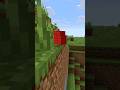 SONO SERVITI 14 ANNI per FIXARE questo VECCHIO BUG di MINECRAFT