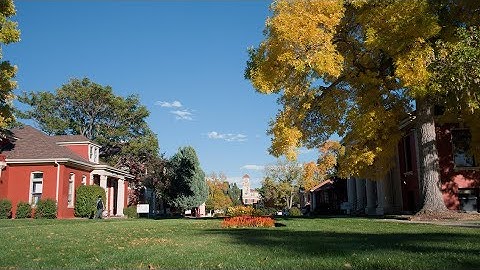 Jeff Unay | From Facial Animation to Film Directing | VASD