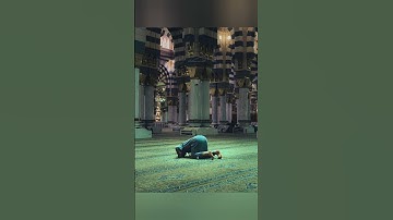 سورة الإخلاص #القرآن_الكريم #قرآن #اكسبلور #حالات_واتس #راحة_نفسية #قران_كريم #لايك #حالات #الجزائر