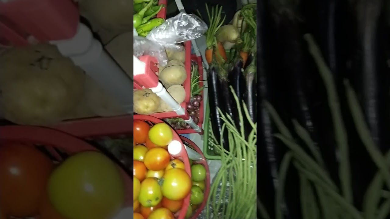 Iba T Ibang Klase Ng Gulay DIFFERENT KINDS OF VEGETABLES | Iba't ibang klase ng gulay #SHORTS