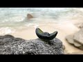 Beachcombing Magazine Volume 28 (January/February 2022)