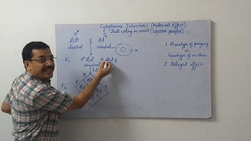 Cytoplasmic Inheritance-2-Shell coiling in snail