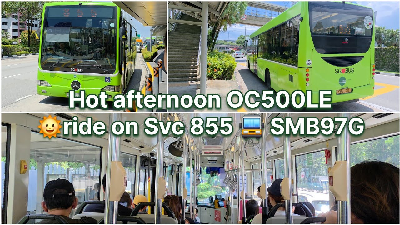 Mercedes-Benz OC500LE (SMB97G) ride on Tower Transit Svc 855 (CC20 ...