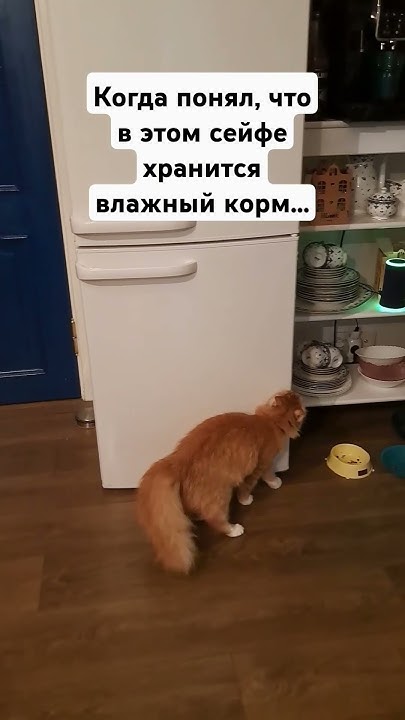 Взломщик (в последнее время открывает в доме двери, видимо видит, как ...