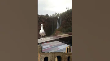 Ouzoud Waterfalls 2023 شلالات ازود الساحرة 