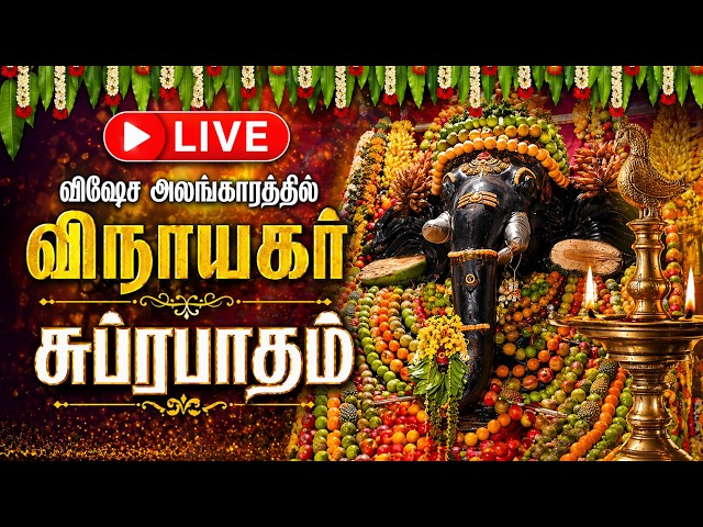 LIVE விஷேச அலங்காரத்தில் விநாயகர் |  ஆசியாவின் மிகப்பெரிய கணபதி | புலியகுளம் |  அபிஷேக தரிசனம்