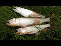 Природа и рыбалка  Амурской области