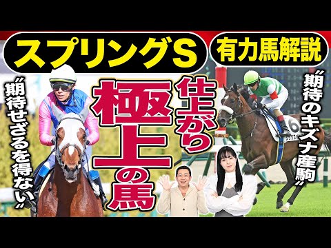 【スプリングステークス2024】「上位馬を脅かす存在」メイショウタバル＆横山典弘VSシックスペンス＆Ｃ.ルメール勝つのは？朝日奈ゆう＆競馬記者が有力馬解説《東スポ競馬》