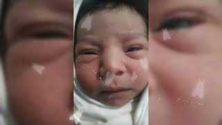 Chernolik Müge & Okan