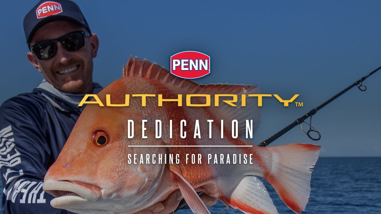 PENN Authority | Searching For Paradise - YouTube