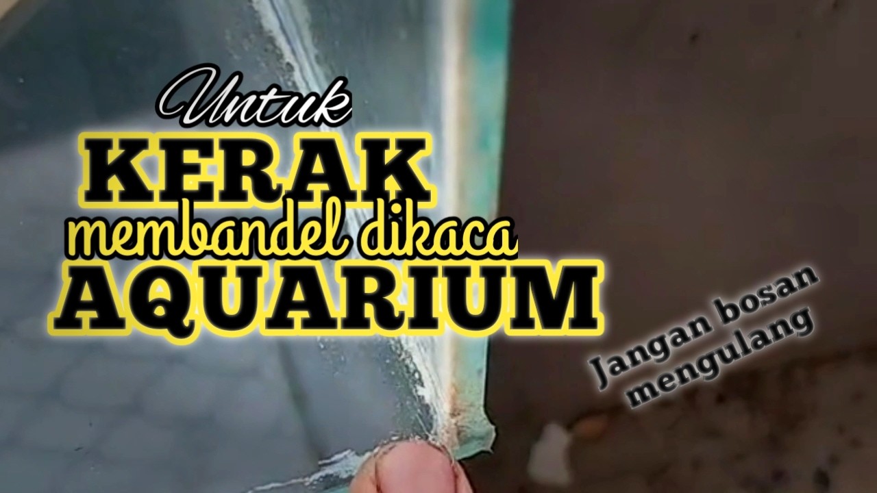 MEMBERSIHKAN KERAK YANG MEMBANDEL DIKACA AQUARIUM || SPESIALIS PEMBERSIH KERAK