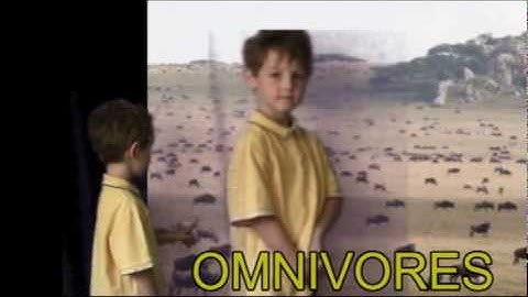 Three Types of Consumers