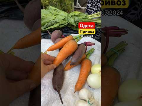 Одеса Привоз 🐝🍯🥦🧄🧅🥕