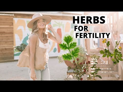 How to Balance your hormones for fertility. Get your period back!