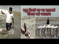 समुद्र किनारी गळ च्या साहाय्याने शिंगाडा, मासे पकडताना || Beach Fishing ||