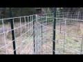 Texas hog trapping. G style trap