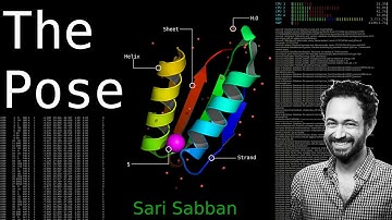 The Pose Python Library