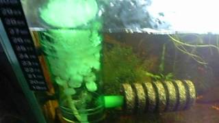 DSCF1158