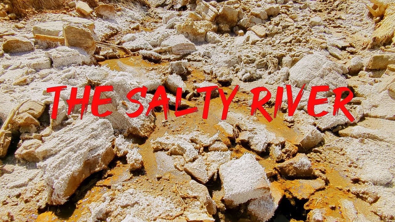 THE SALTY RIVER YouTube