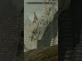 Skyrim Whiterun Chest Glitch (Free Loot) #skyrim #skyrimglitch #whiterun #gamingshorts #skyrimtips