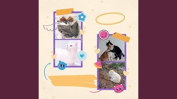 Sublime Ambience for Mysterious Cat