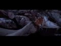 Exodus: gods and kings "The Plagues"
