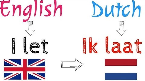 learn useful dutch phrases🔥,NT2 nederlands leren grammatica werkwoorden en 31 zinnen