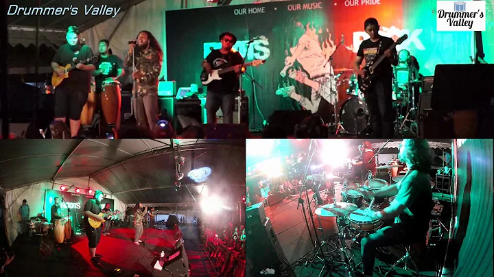 Video 11859361: abyssinian