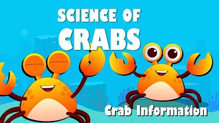 The Science of Crabs | Beautiful Science  |  Crabs Information  | crab story @kidskube